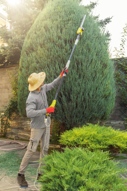 Lawn Watering Services in Ferndale, WA